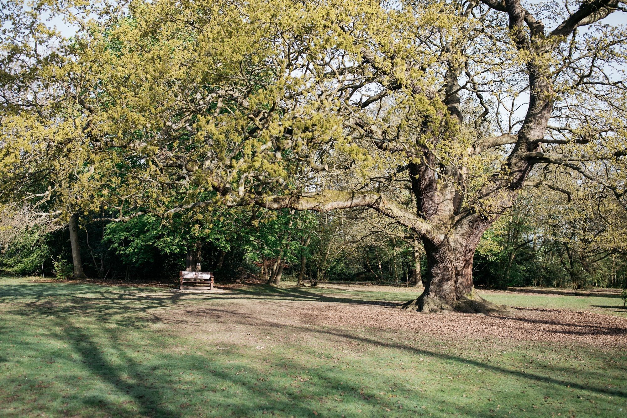 Hotel Gilwell Park à Chingford Extérieur photo