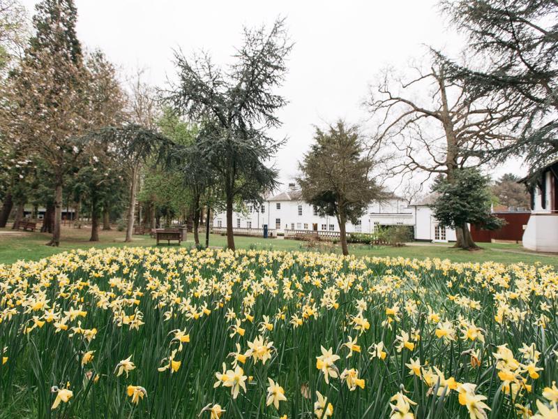 Hotel Gilwell Park à Chingford Extérieur photo